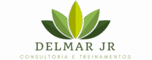DELMAR JR CONSULTORIA LTDA